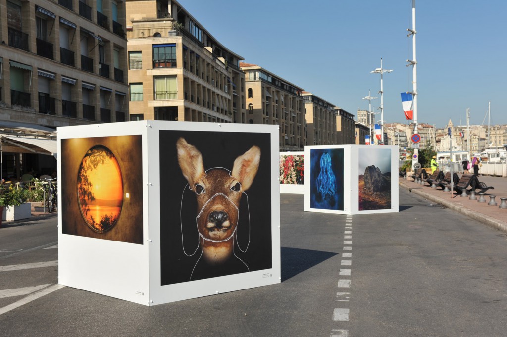 Exposition SUBLIME ! - Quai du Port, Marseille